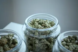 Cannabis länger frisch halten